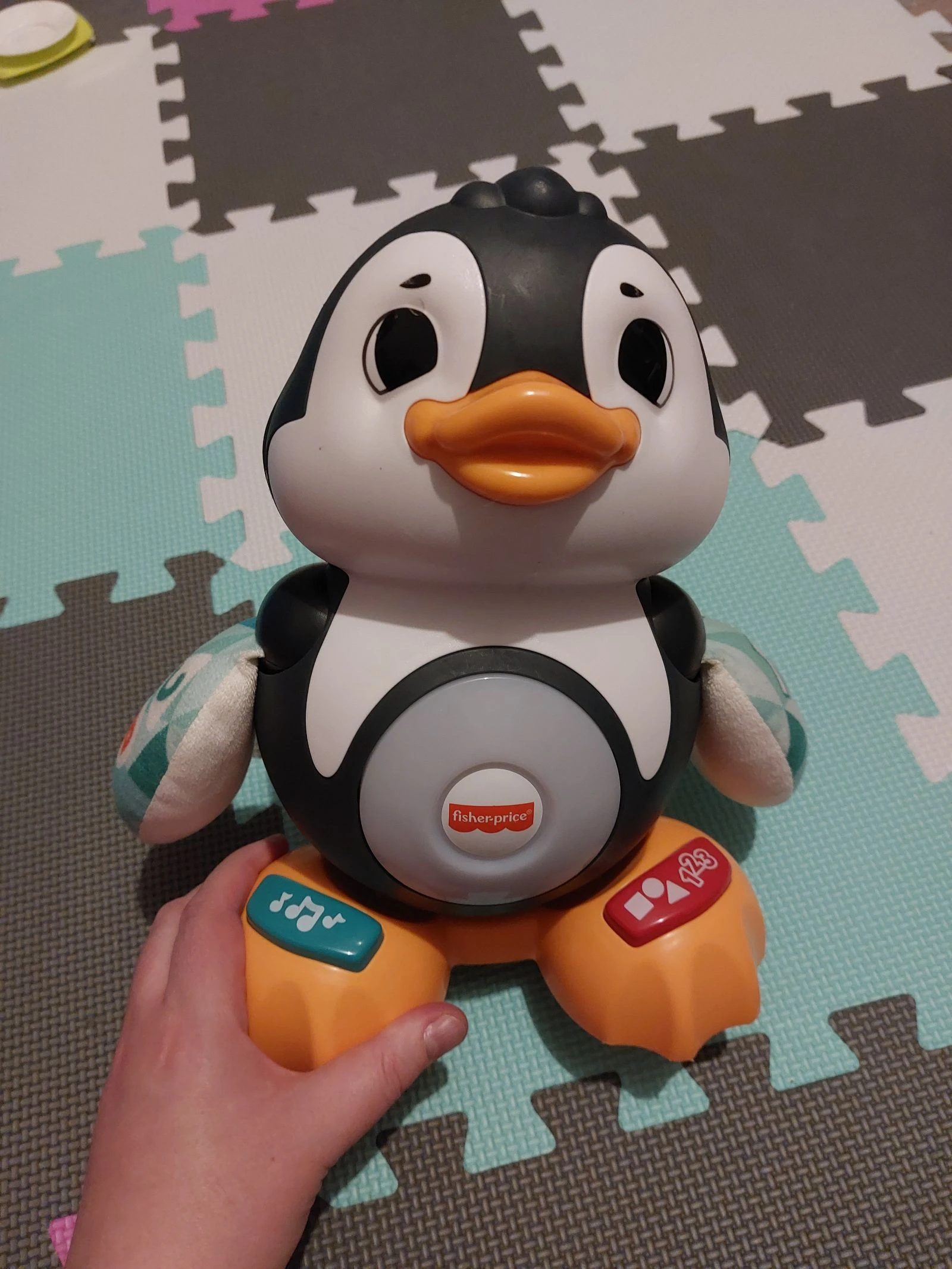 Pingüino musical – photo 4